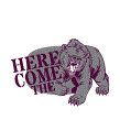 Here Come The Bears Design