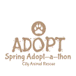 Animal Adoption Design